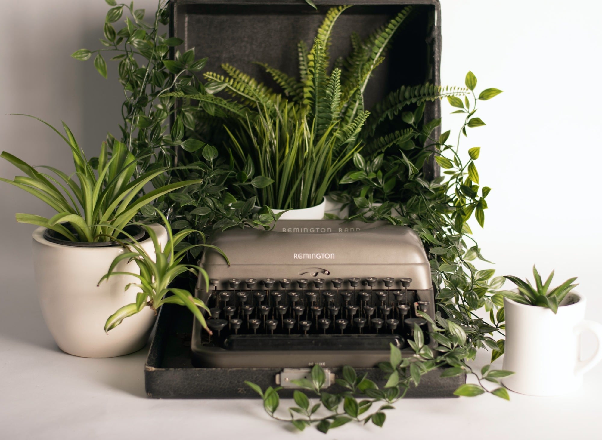 Bright photo displaying an antique typwriter in an open case surrounded by and enveloped in leafy houseplants and greenery.